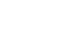 Level_vertical_white.png#asset:693